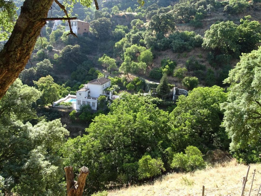 Finca Riolavar Jubrique Exteriör bild